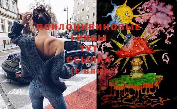 сатива Баксан