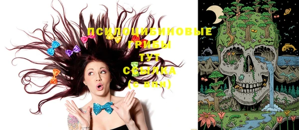 сатива Баксан