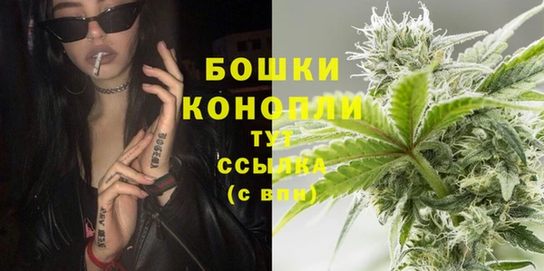 сатива Баксан