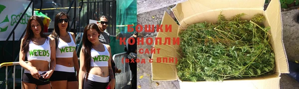 сатива Баксан