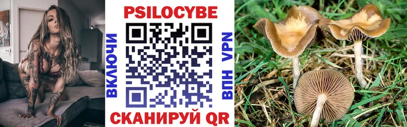 наркота  Шимановск  Галлюциногенные грибы мухоморы 